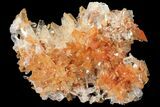 Orange Creedite Crystal Cluster - Durango, Mexico #99179-1